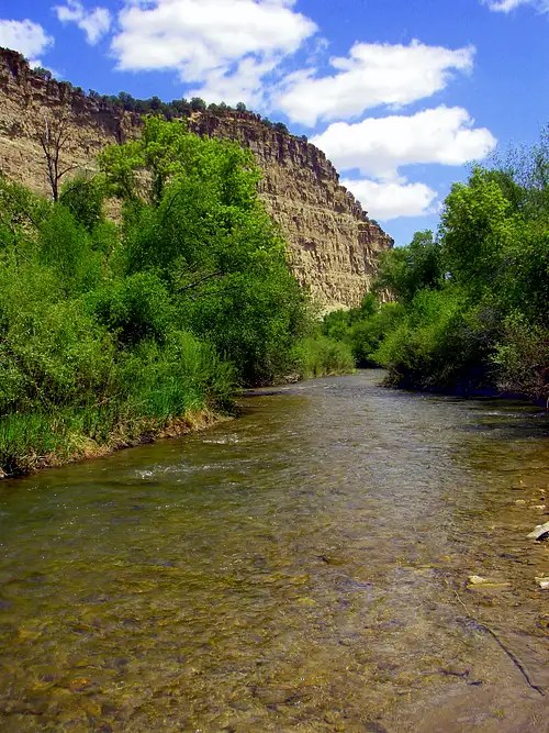 Current Creek Res. + Strawberry Pinnicals Utah Wildlife Network