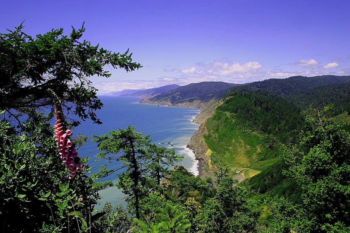 Lost Coast Wilderness and Kings Range Coastline, California. xpost from