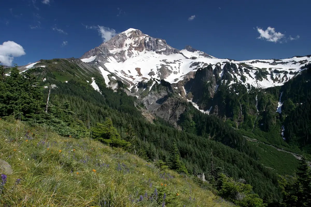 Little Zigzag Falls, Oregon The Waterfall Record