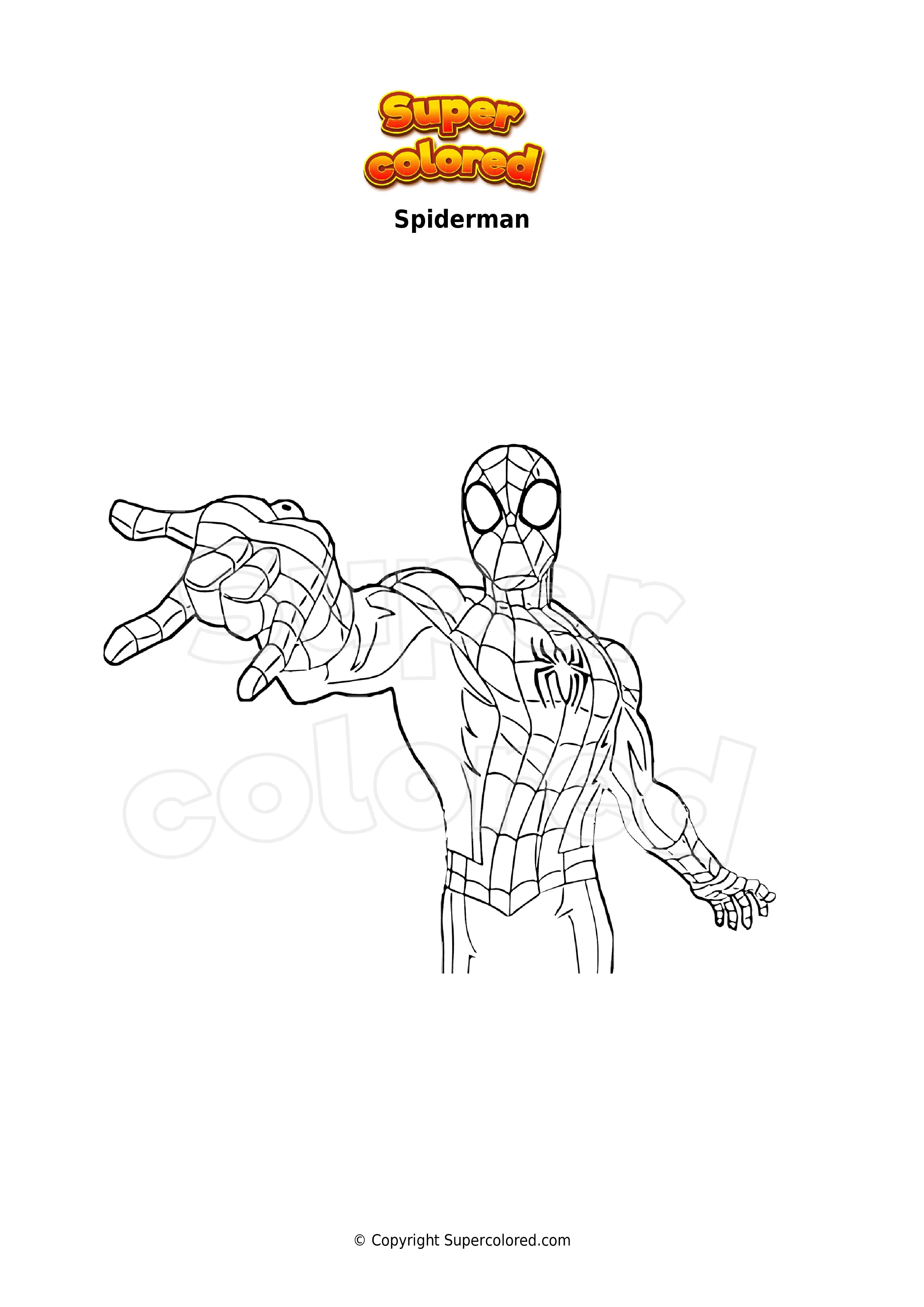 Coloring page SpiderHam