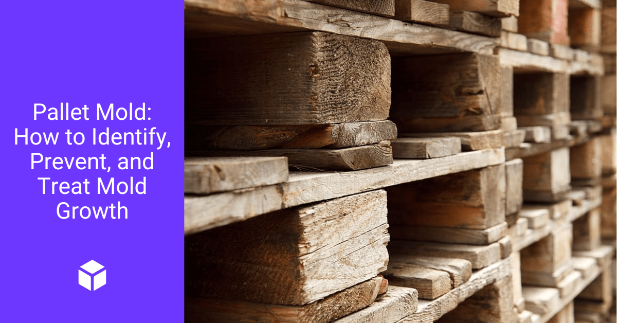 Pallet Mold Prevention 101 How to Prevent Mold on Wood Pallets