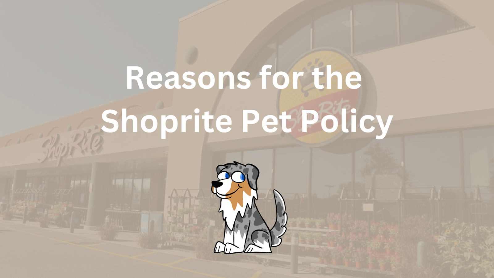 Is Shoprite DogFriendly? Pet Policy Explained]