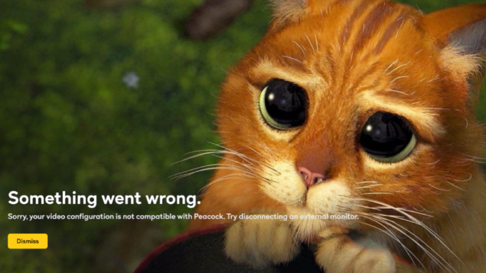 How To Watch Peacock On Amazon Fire TV Tech Advisor