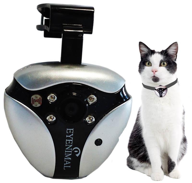 Best Pet Tech Cat & Dog Trackers, Smart Toys & Pet Cameras Tech Advisor