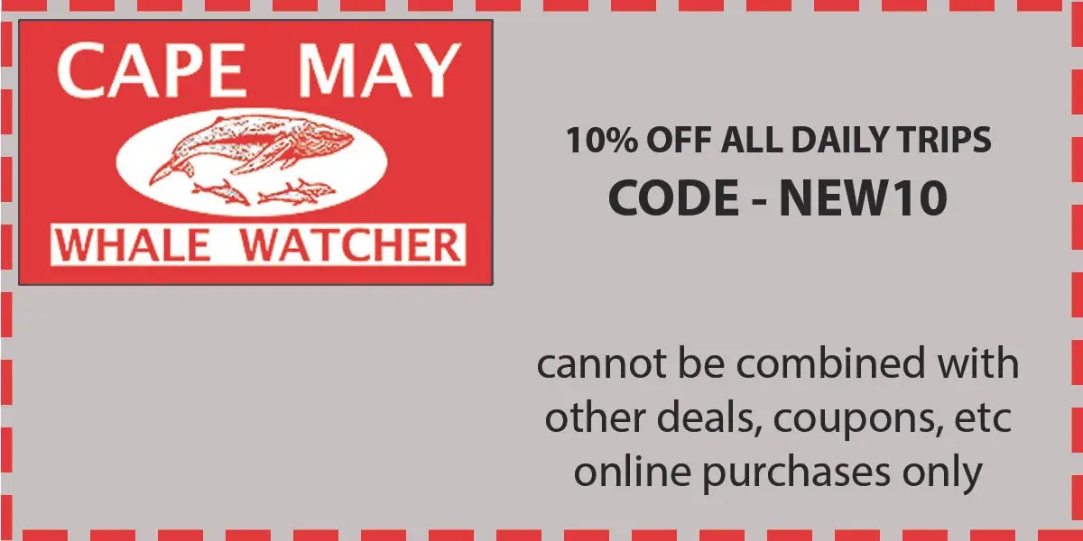 Whale Watching Coupons & Deals The Cape May Whale Watcher