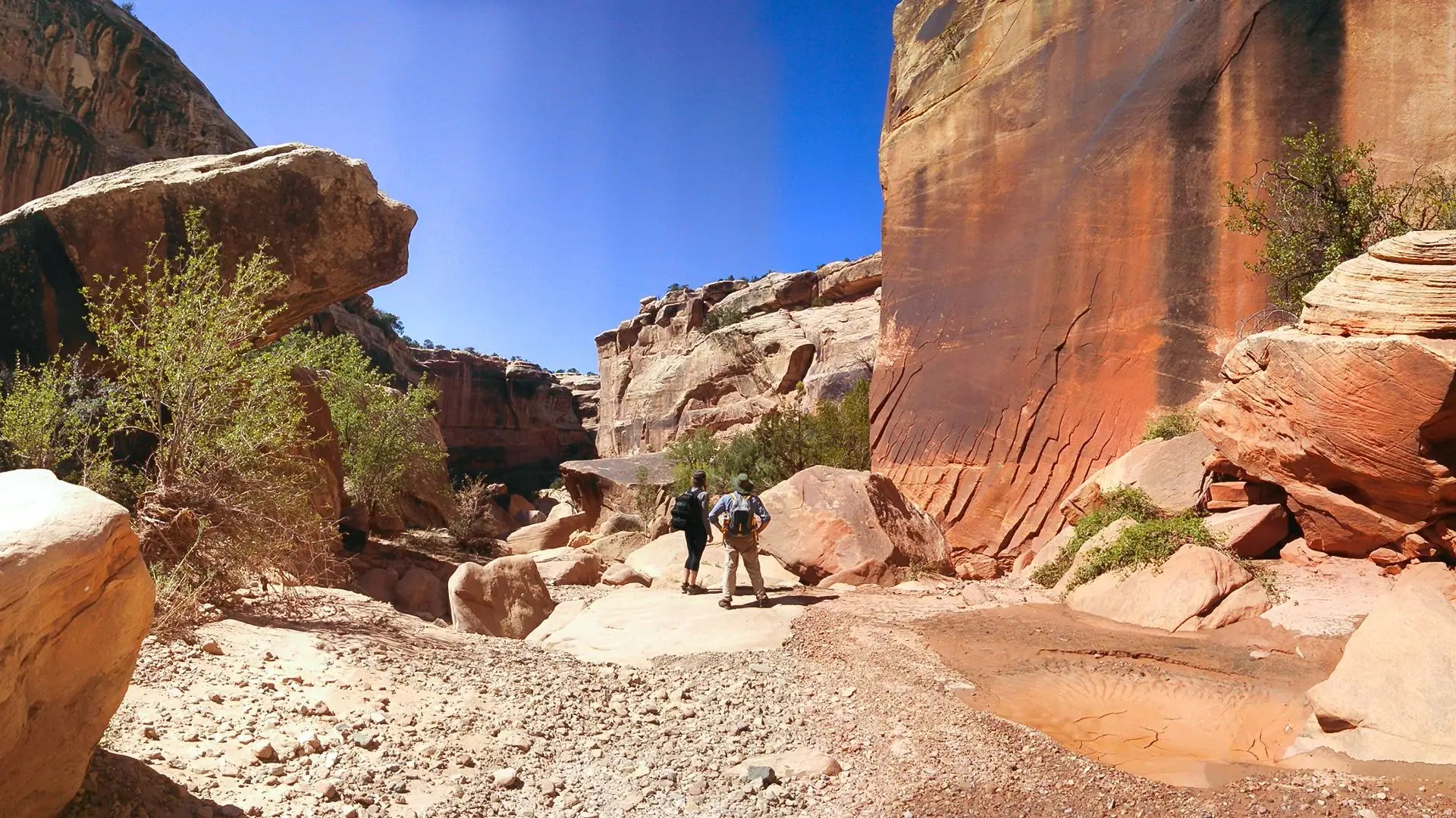 Bluff Utah Adventures San Juan River Bears Ears National Monument