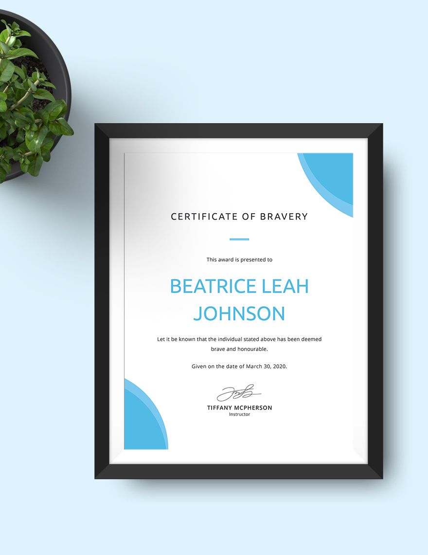 Loyalty Award Certificate Example Template in Pages, Publisher, Word