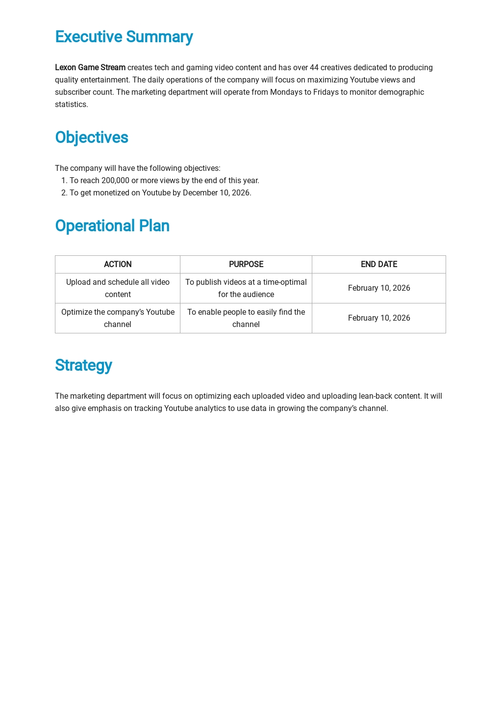Business Operational Plan Template [Free PDF] Word (DOC) Apple (MAC