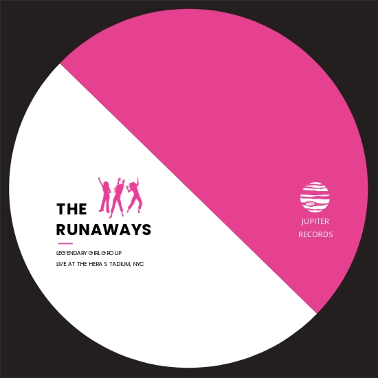 Free CD DVD Label Template Illustrator, Word, Apple Pages, PSD