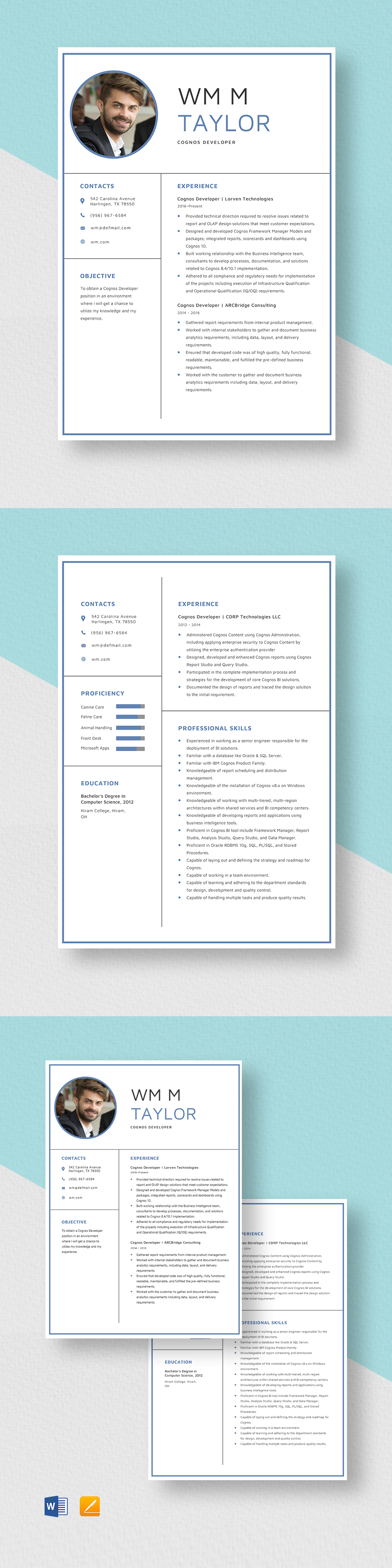 Free Cognos Developer Resume Template - Word, Apple Pages | Template.net