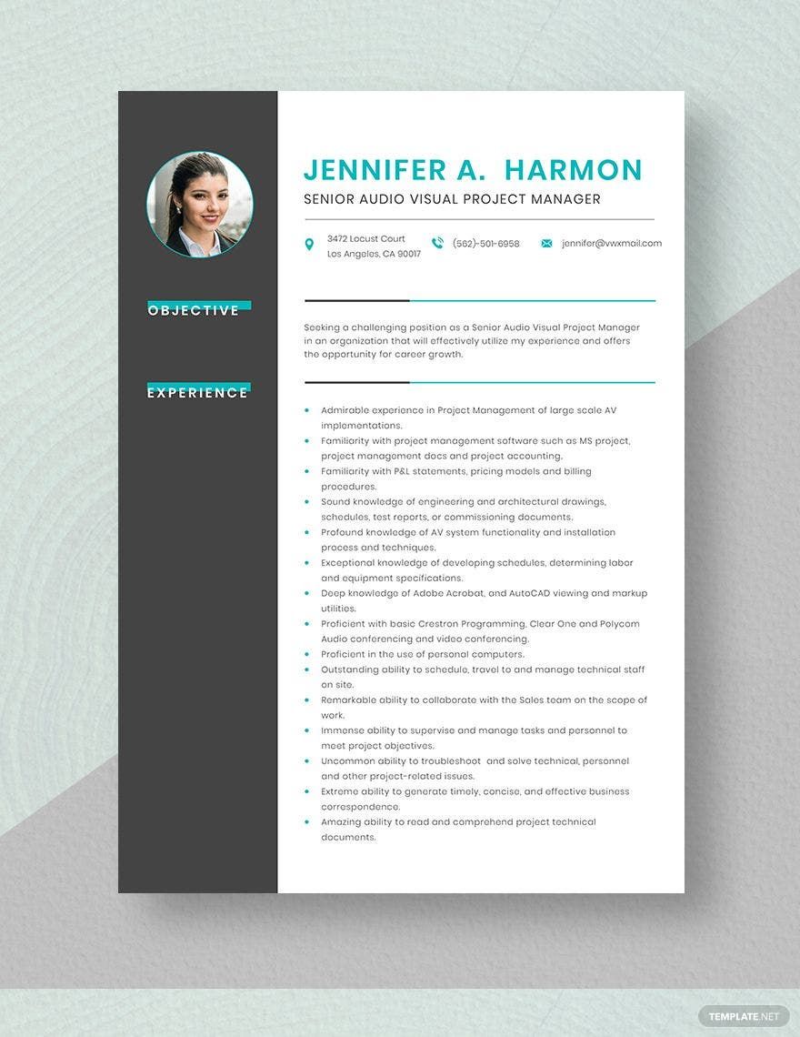 Senior Audio Visual Project Manager Resume in Word, Pages Download
