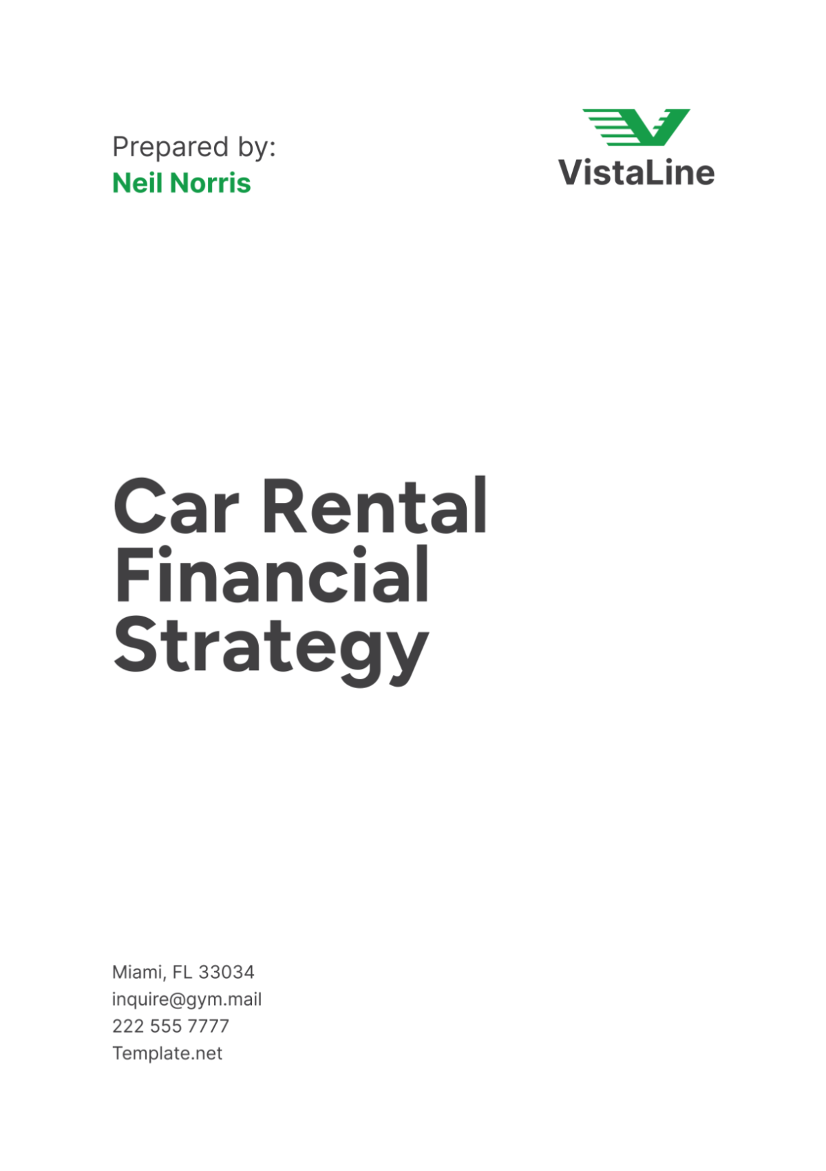 Car Rental Financial Strategy Template Edit Online & Download Example