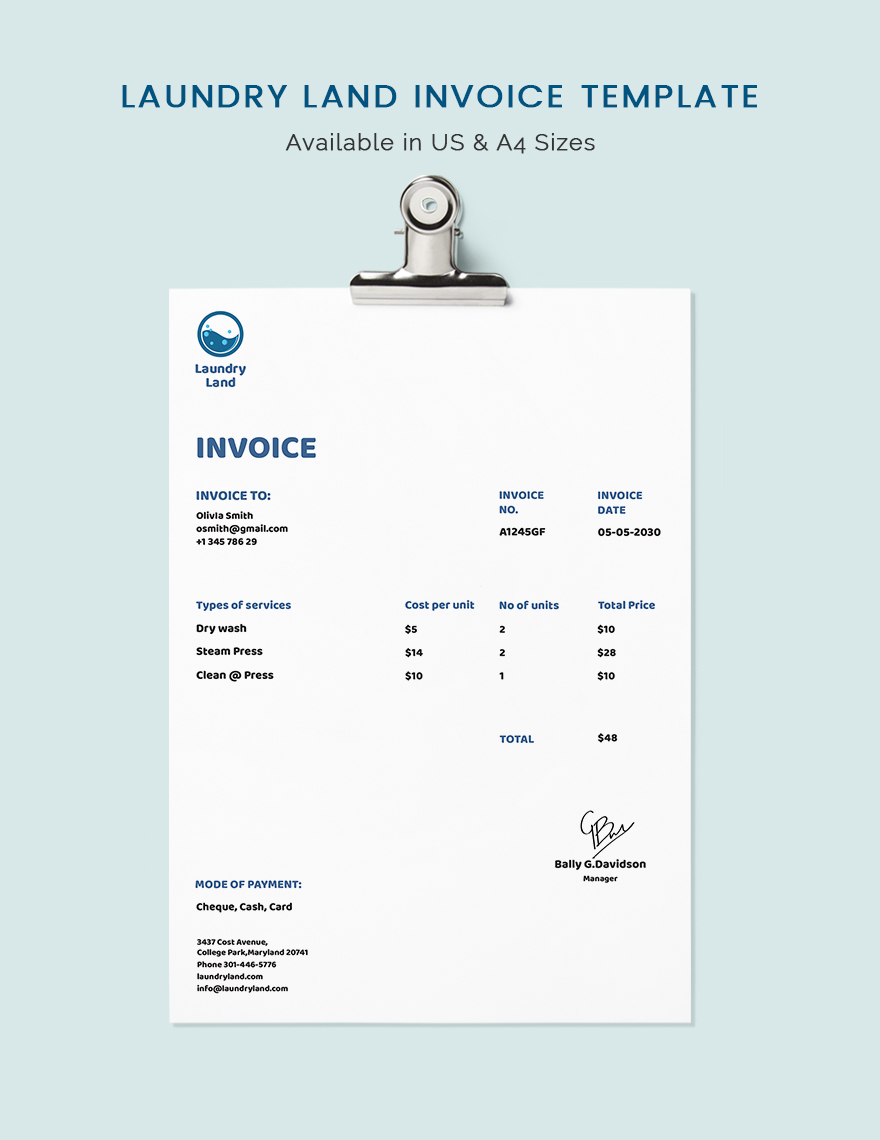 Laundry Invoice Template Google Docs, Google Sheets, Illustrator
