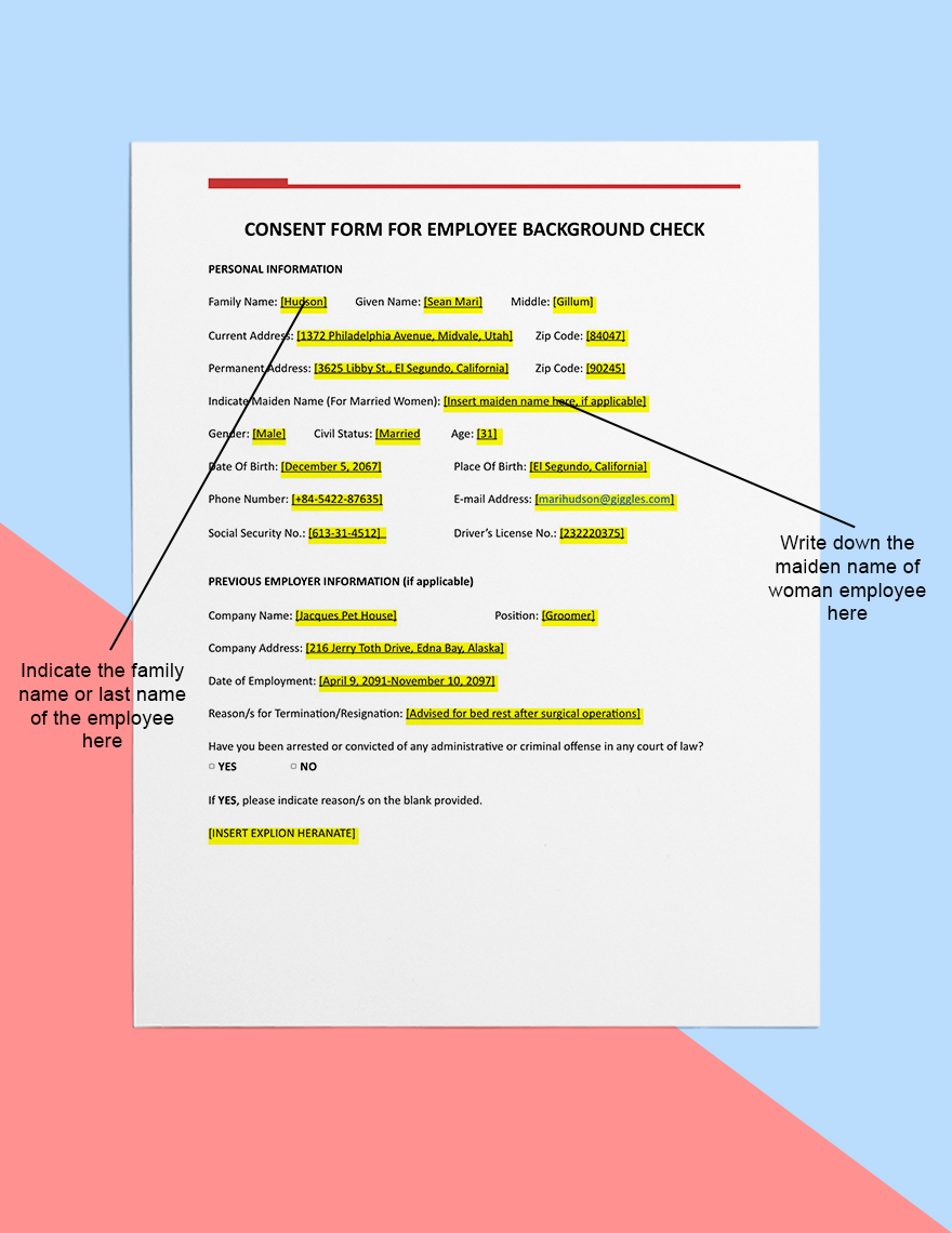 Employee Background Check Template in Word, Pages, Google Docs