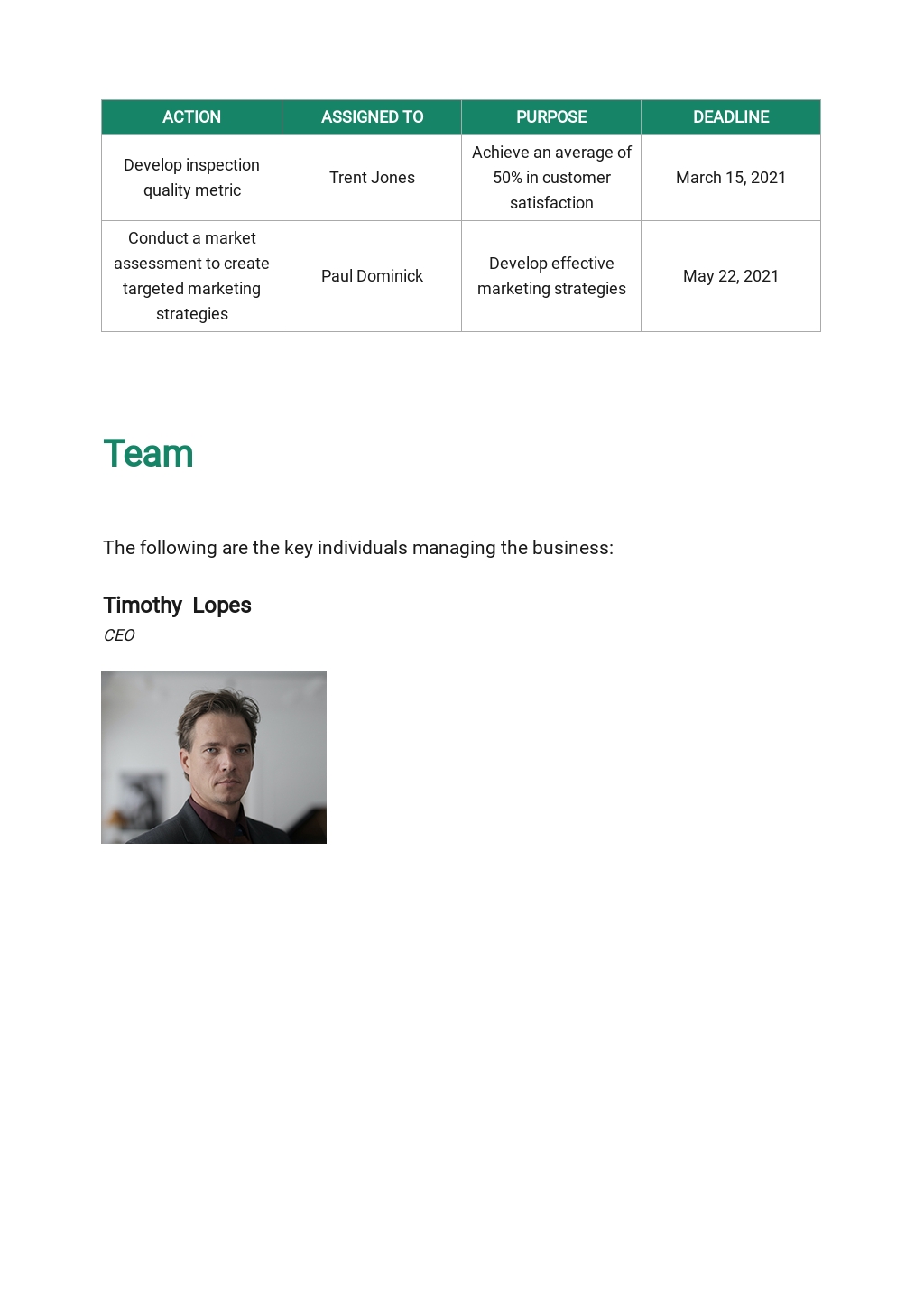 Home Real Estate Inspection Business Plan Template [Free PDF] Word