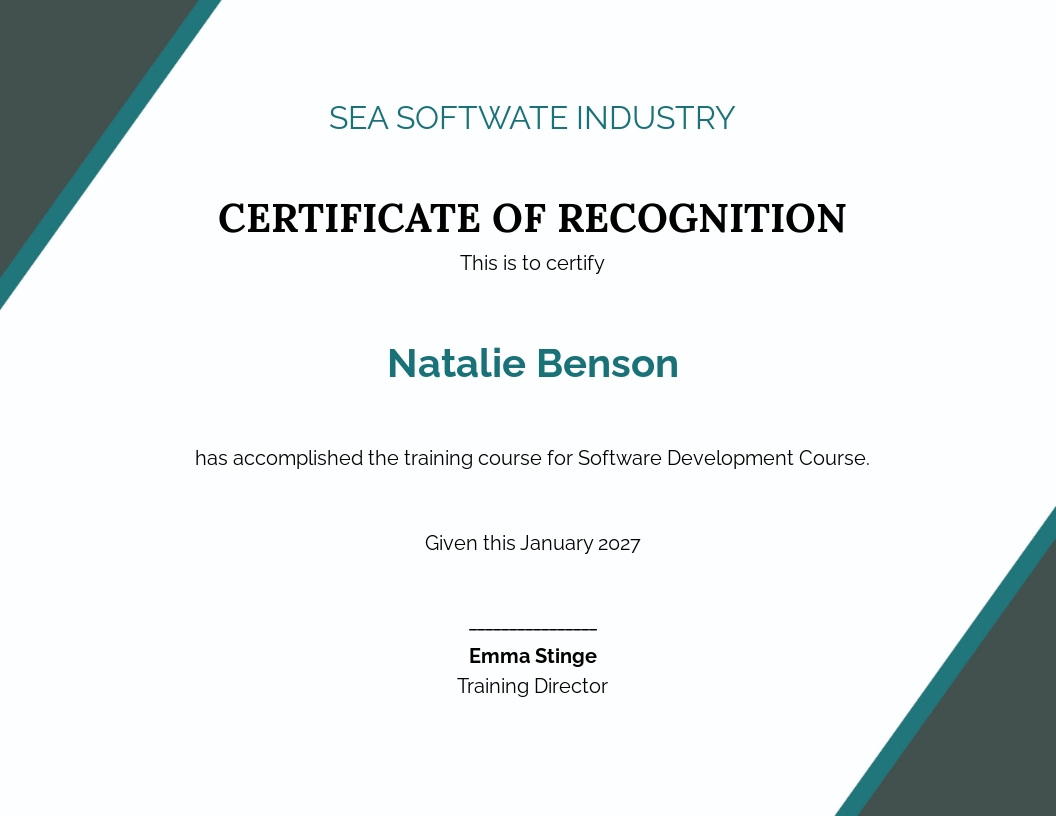 Software Development Certificate Template [Free JPG