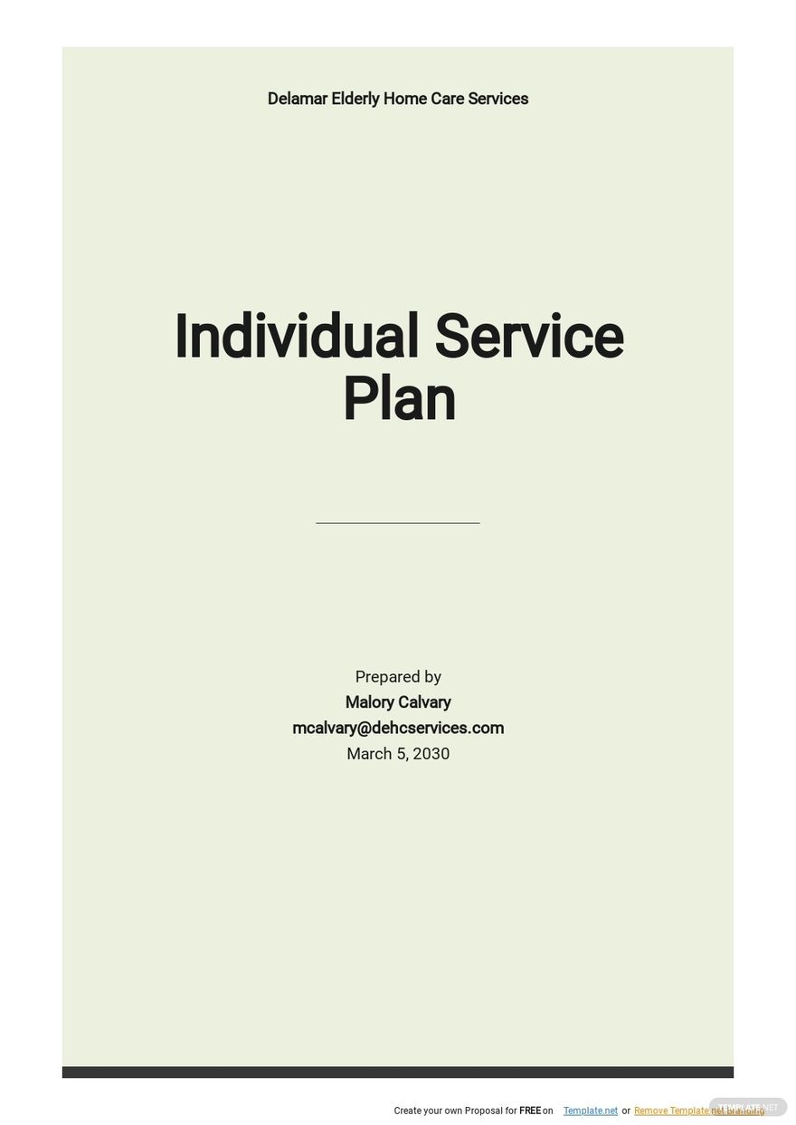 Individual Development Plan Template For Employees - Google Docs, Word