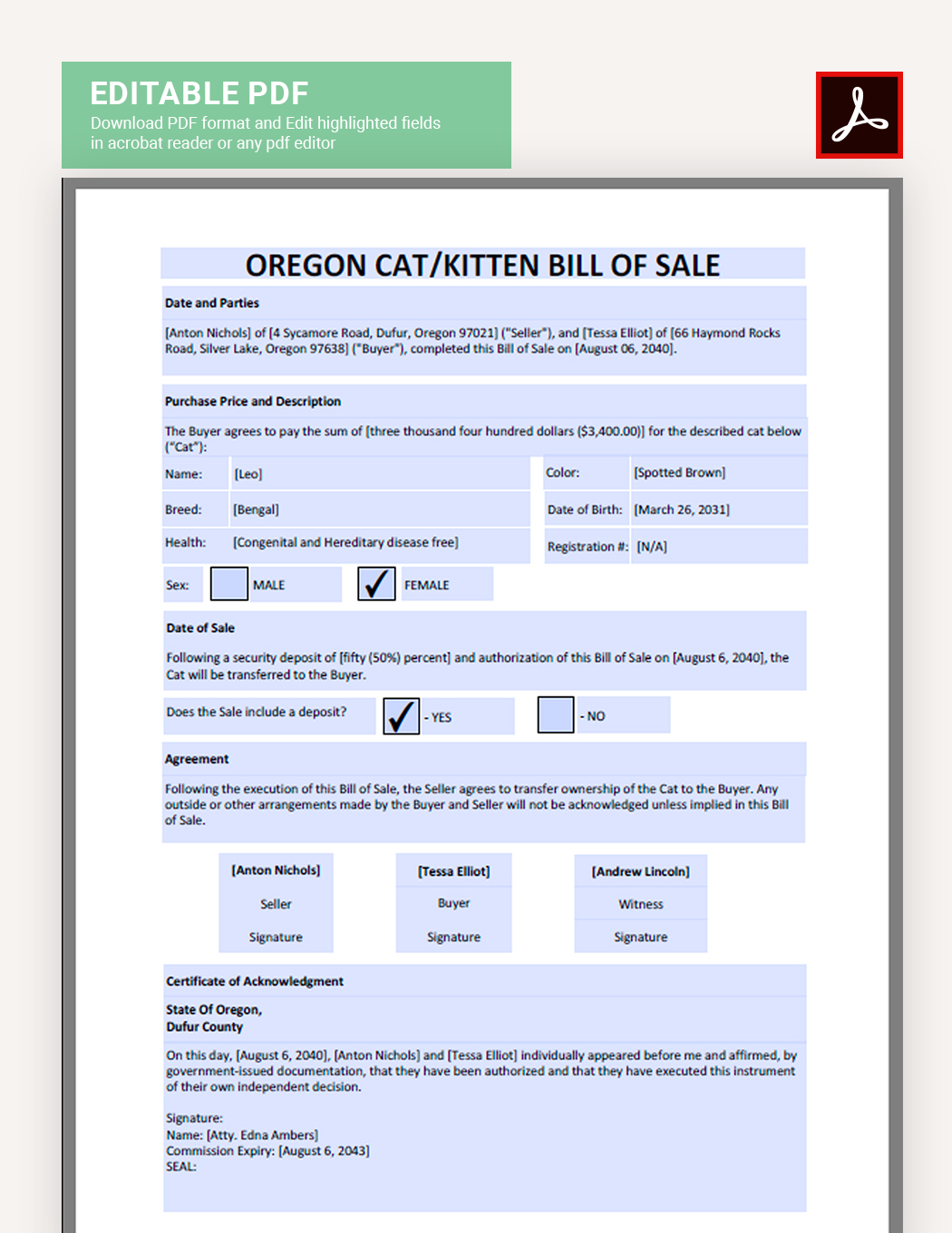 Oregon Cat / Kitten Bill Of Sale Template in Google Docs, PDF, Word