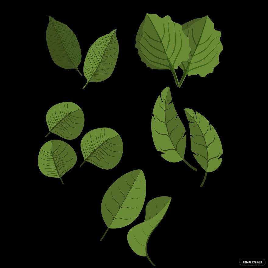 Mint Leaf Vector in Illustrator, SVG, JPG, EPS, PNG Download