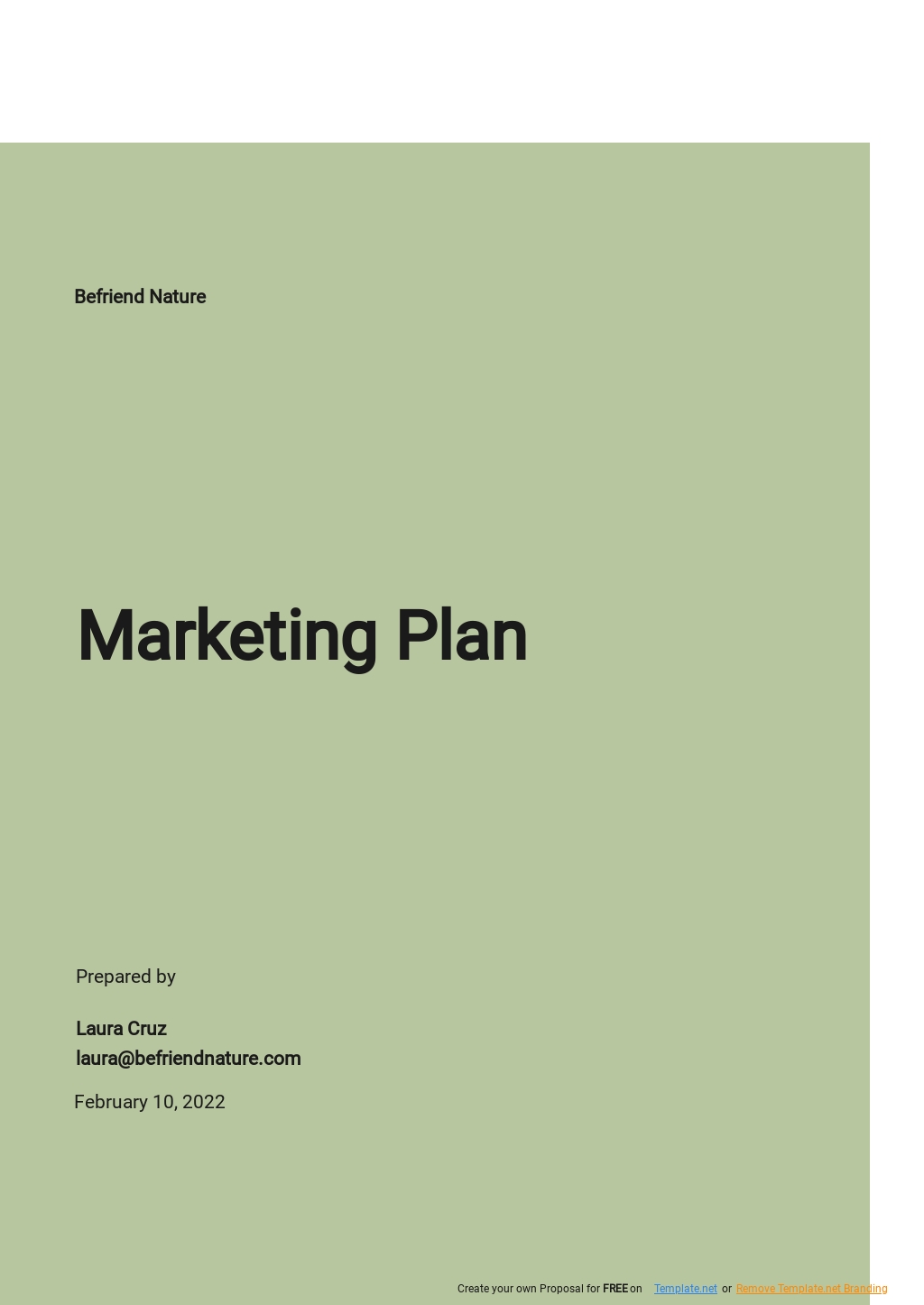 Download 167+ Marketing Plan Templates Adobe PDF