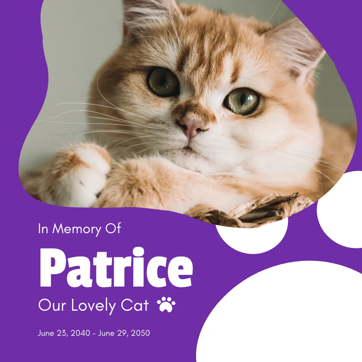 Pet Memorial Instagram Post Template Edit Online & Download Example