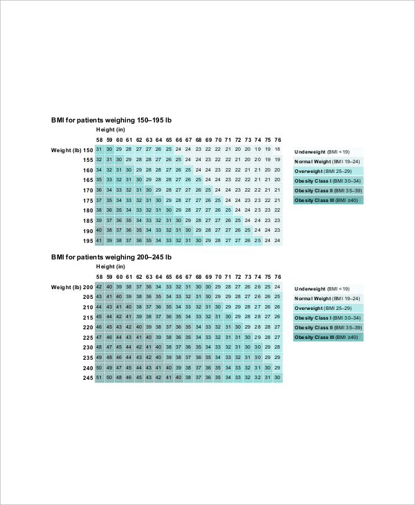 7+ BMI And Body Fat Chart Templates Free Sample, Example Format