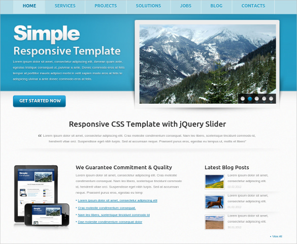 50+ Free Responsive Website Templates Built With. Themefisher