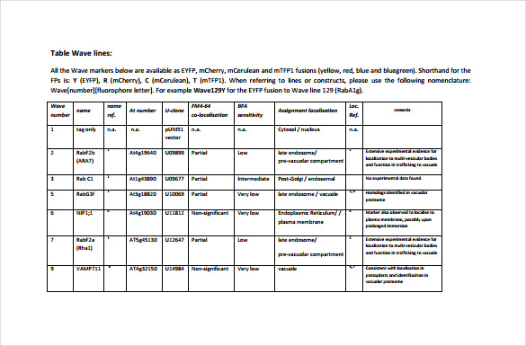 Free Balance Sheet Templates Smartsheet