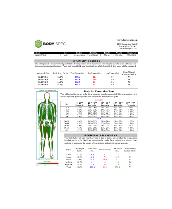 EXCEL TEMPLATES Body Fat Percentage Formula Excel