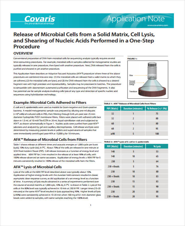 Application Note Templates 7 Free PDF Format Download