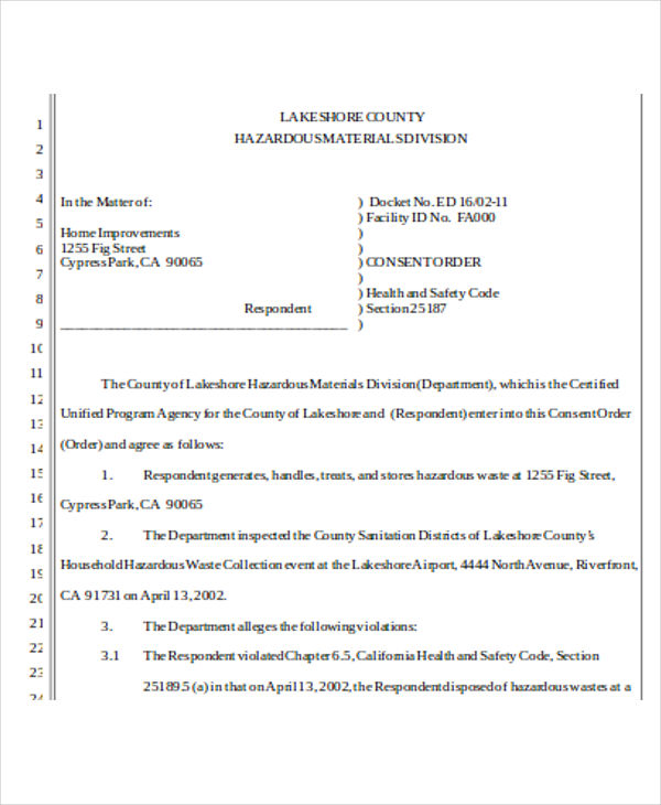 5+ Consent Order Templates Word, PDF