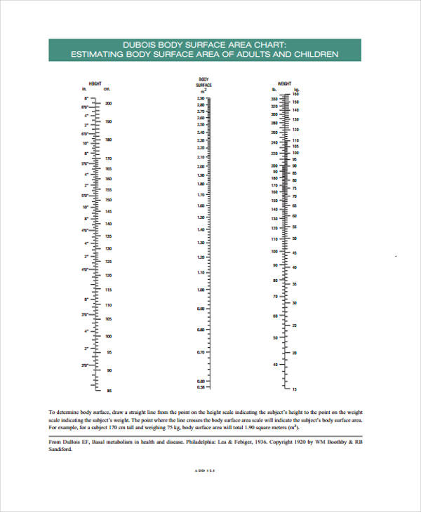 Dog Body Surface Area Chart