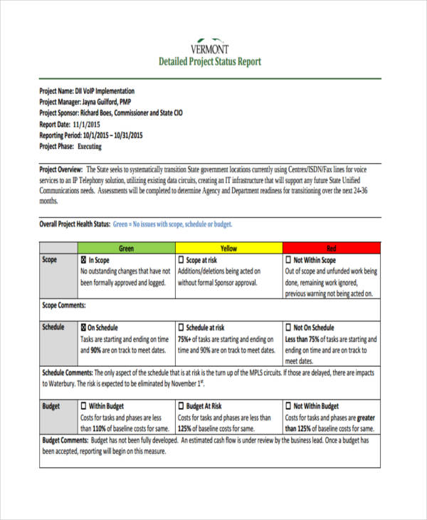 Project Review Report Template- Establish Project Overview