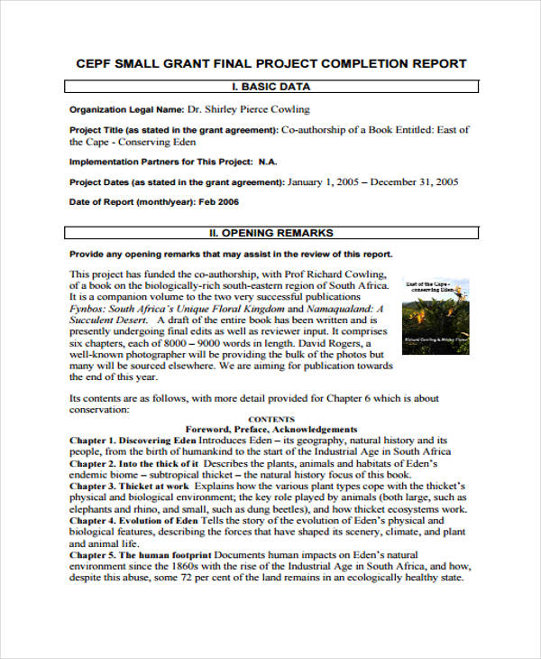 17+ Project Executive Summary Examples & Templates