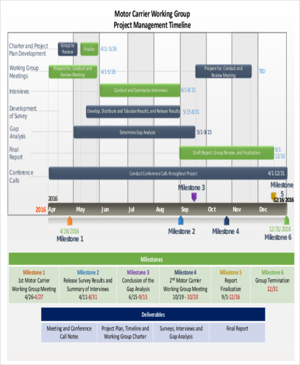 24+ Project Timeline Templates in PDF Free & Premium Templates