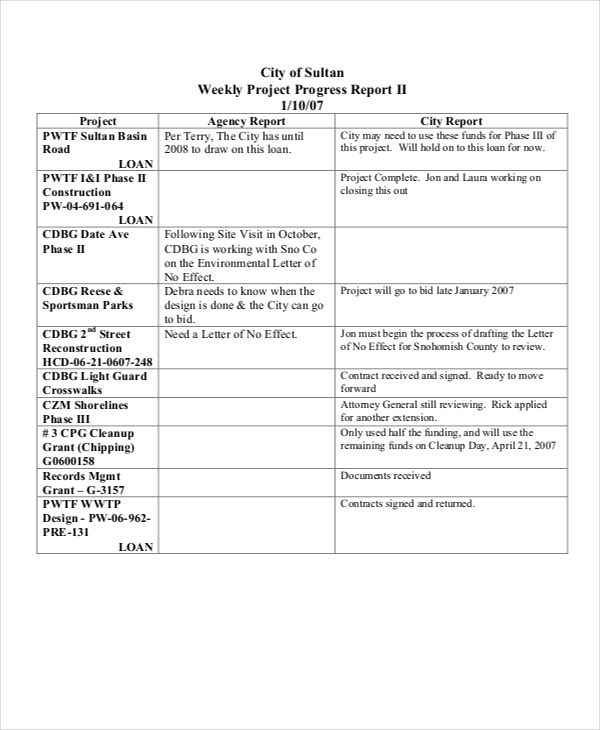 49+ Free Weekly Report Templates PDF, Word, Docs, Pages