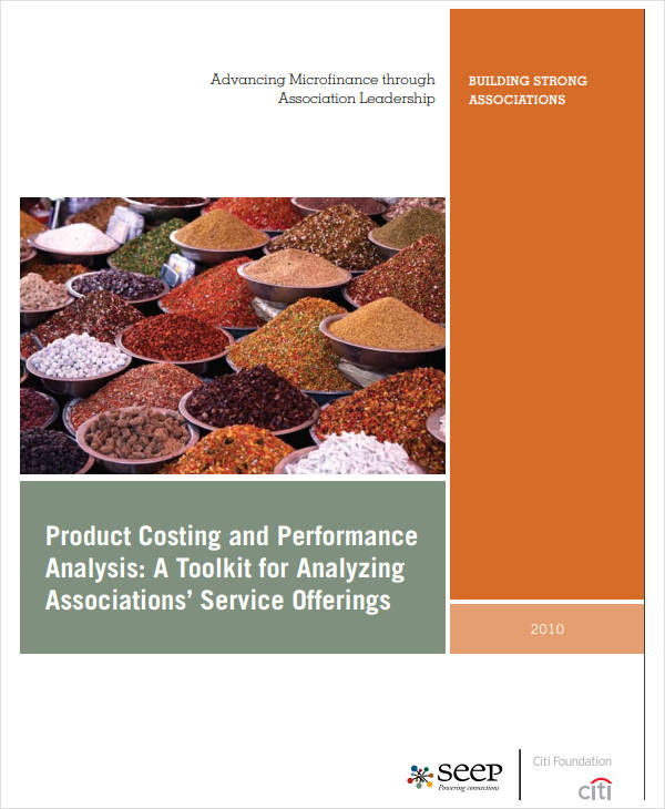 8+ Product Cost Analysis Templates Word, PDF