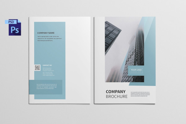 12+ Company Portfolio Templates in InDesign AI PDF XLS DOC