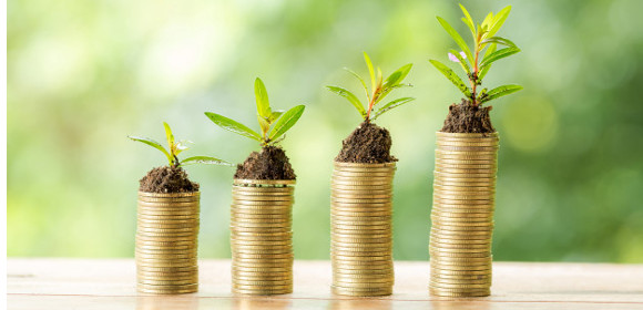 10+ Fund Development Templates in PDF DOC Free & Premium Templates