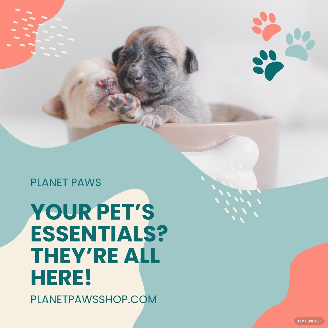 50+ Instagram Post Ideas & Inspiration 2022