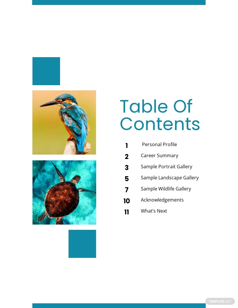 Table of Content What is a Table of Content? Definition, Types, Uses