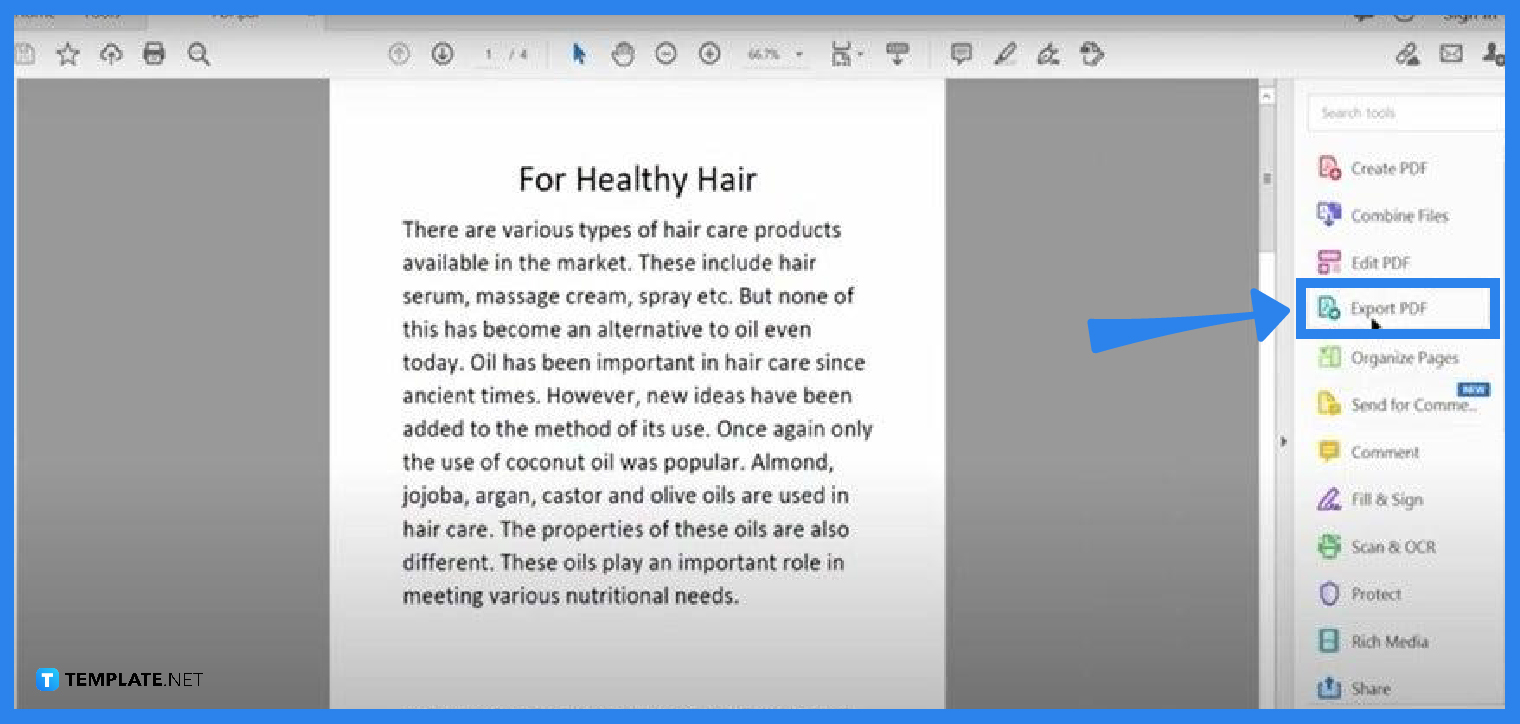How to Convert PDF to Word Using Adobe Acrobat Pro