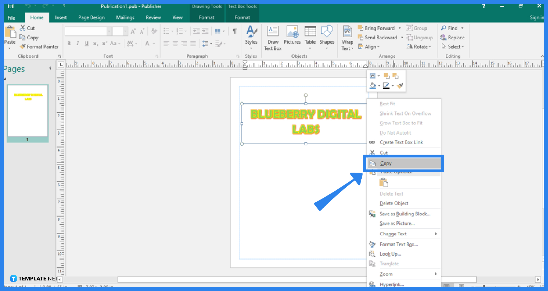 How to Copy and Paste Objects in Microsoft Publisher