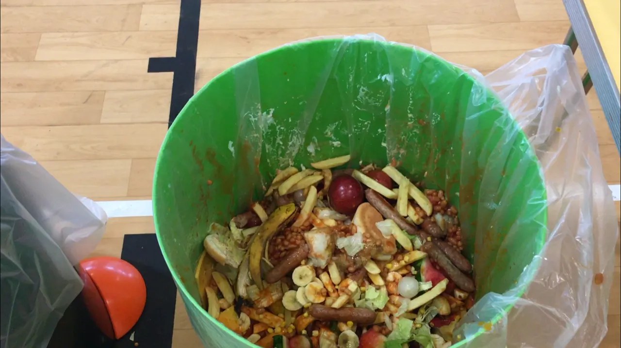 Scotland News / Food For Thought Visit to Kennoway Primary in Fife