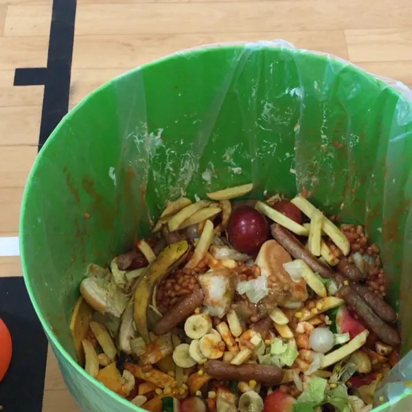 Scotland News / Food For Thought Visit to Kennoway Primary in Fife