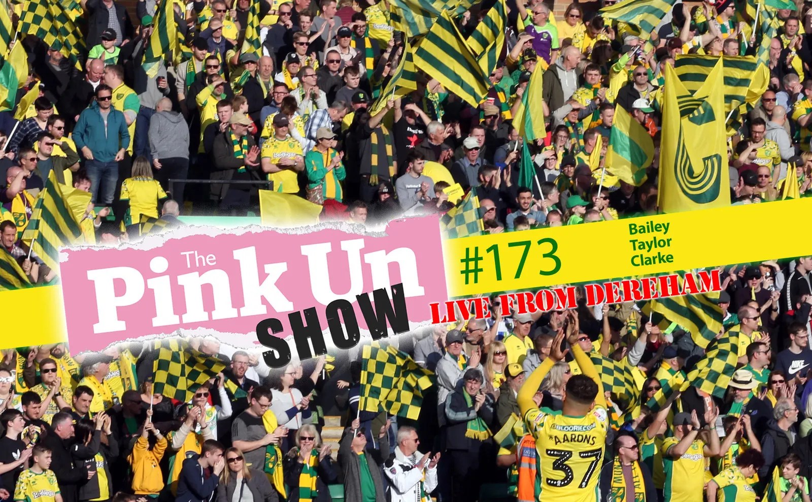 The PinkUn Norwich City Podcast / The PinkUn Norwich City