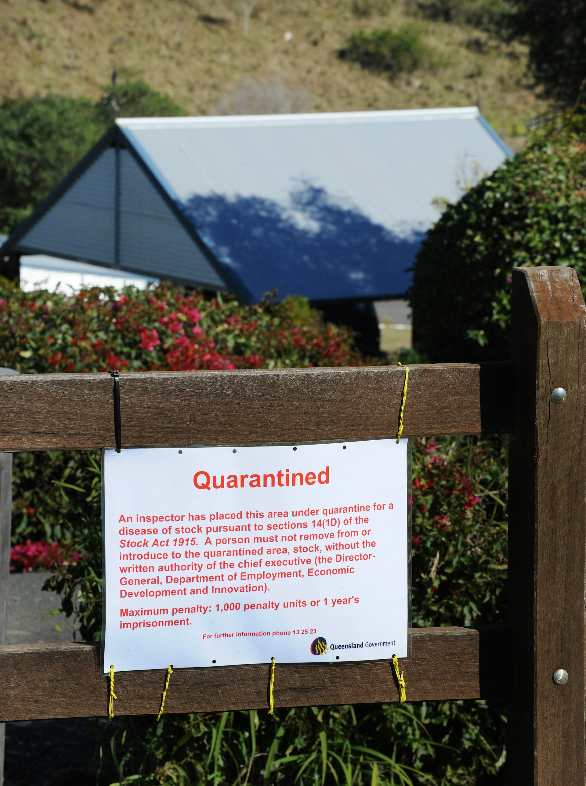 Dog Hendra case requires fresh research into risks CSIRO