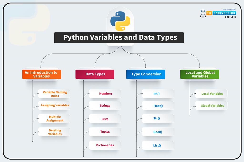 How to use Variables in Python? The Engineering Projects