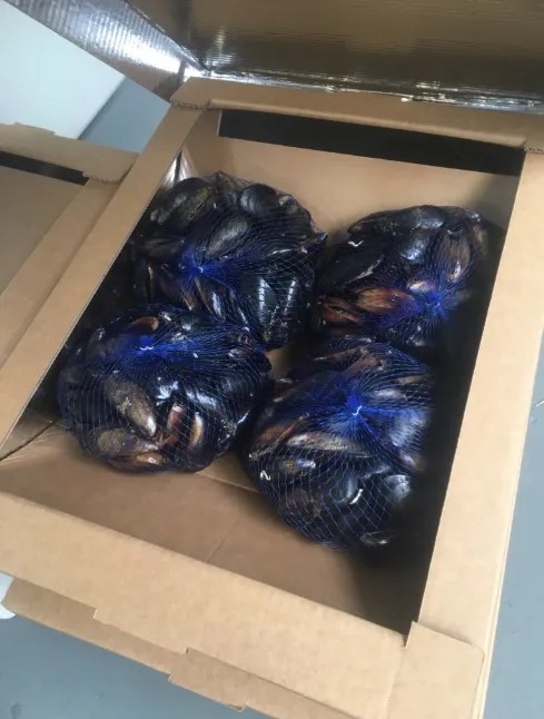 Recognition for novel sustainable seafood packaging The Fish Site