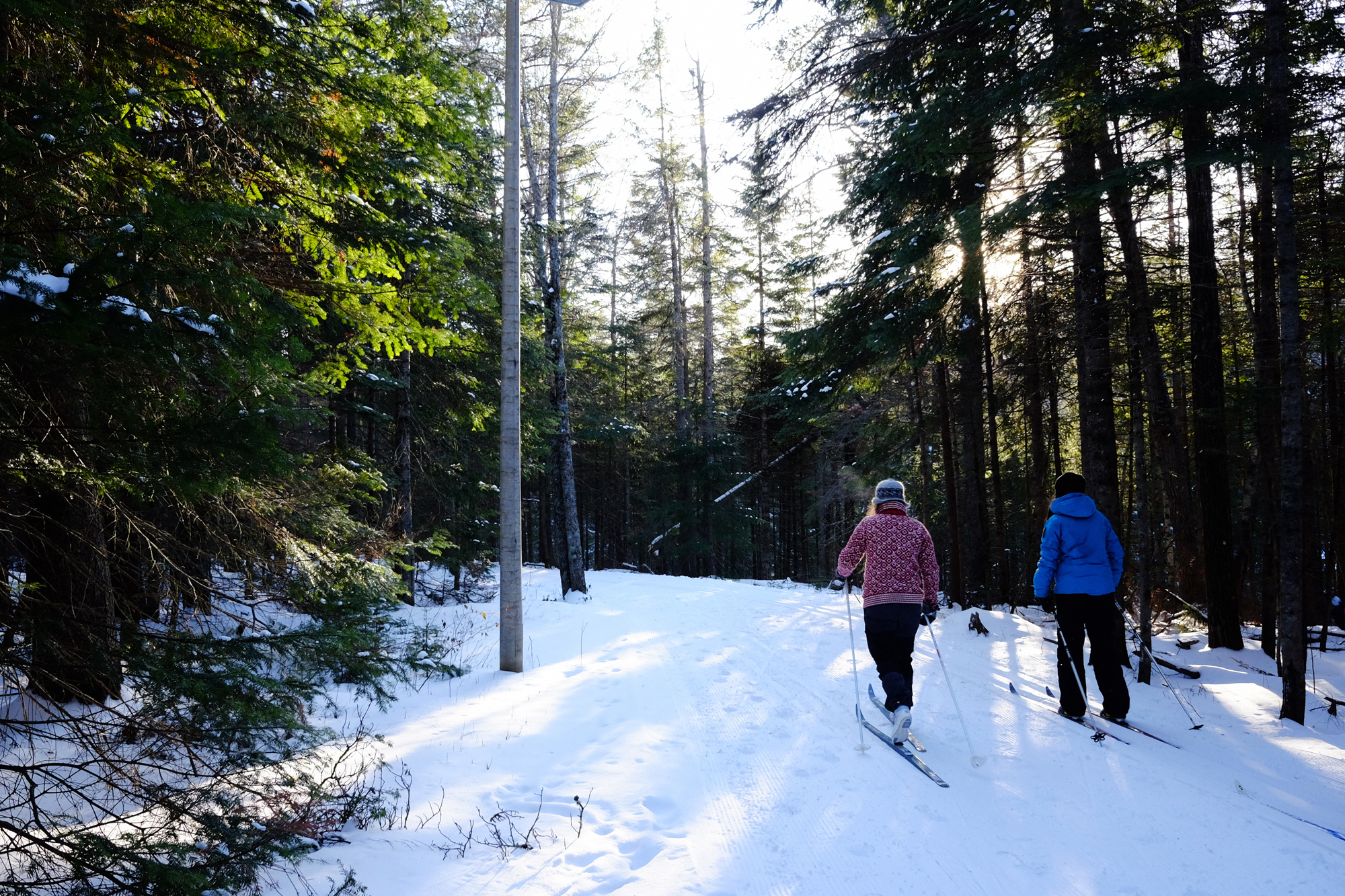Ski Centennial Park loop in Moncton, Moncton, New Brunswick